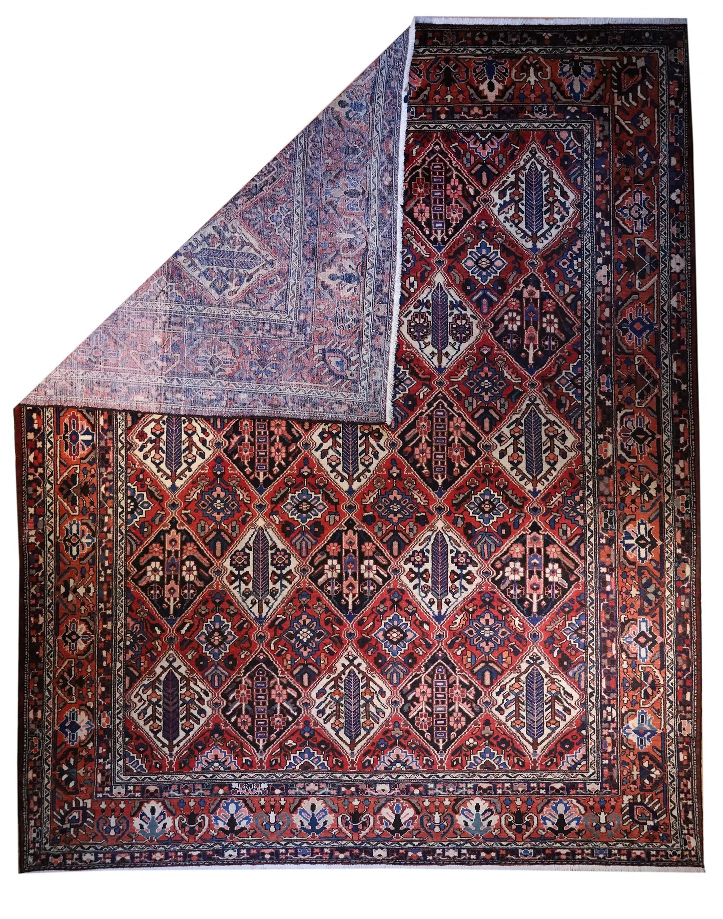 Bachtiari Rug # 5587