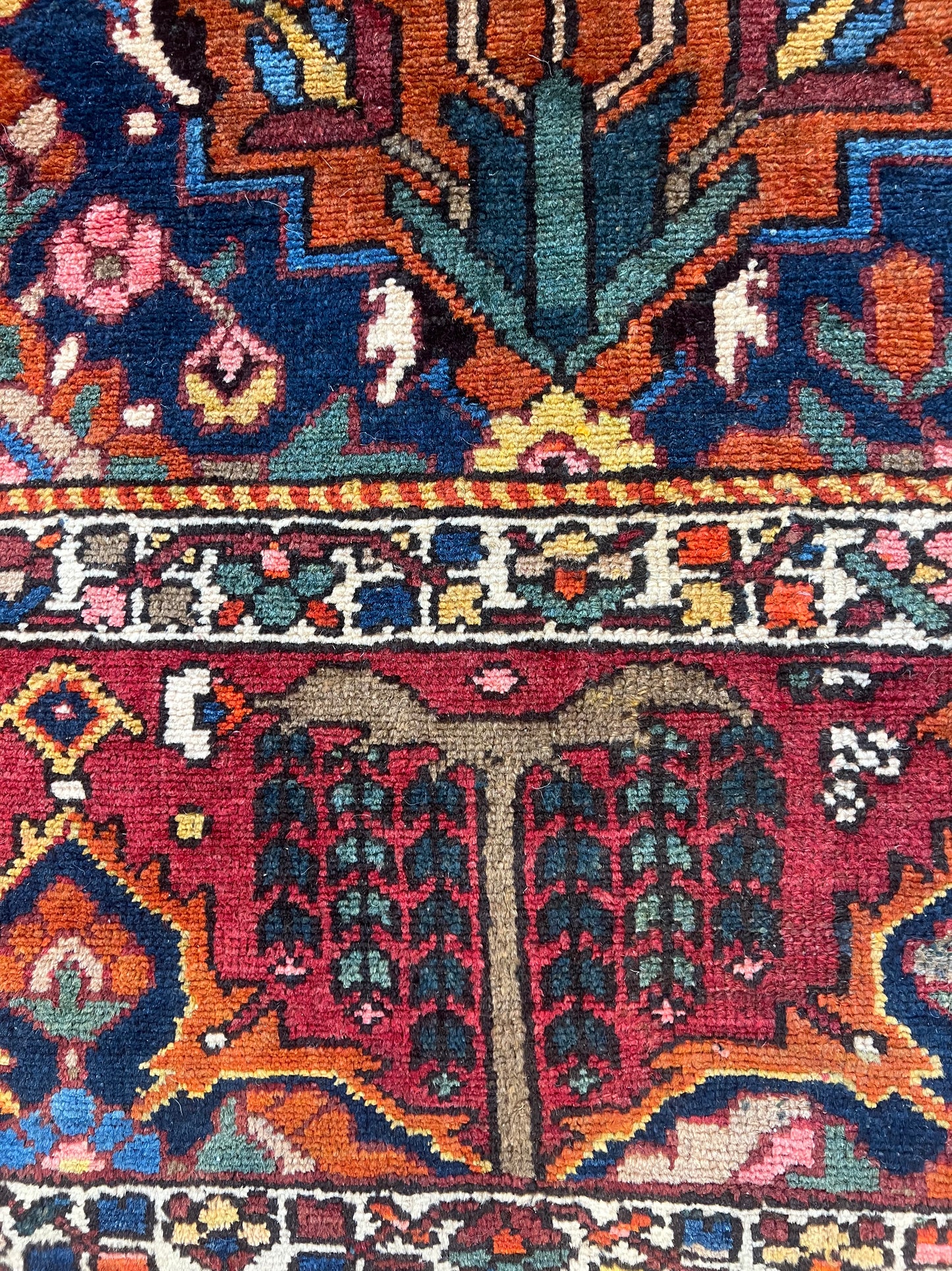 BAKHTIARI IRAN #5569