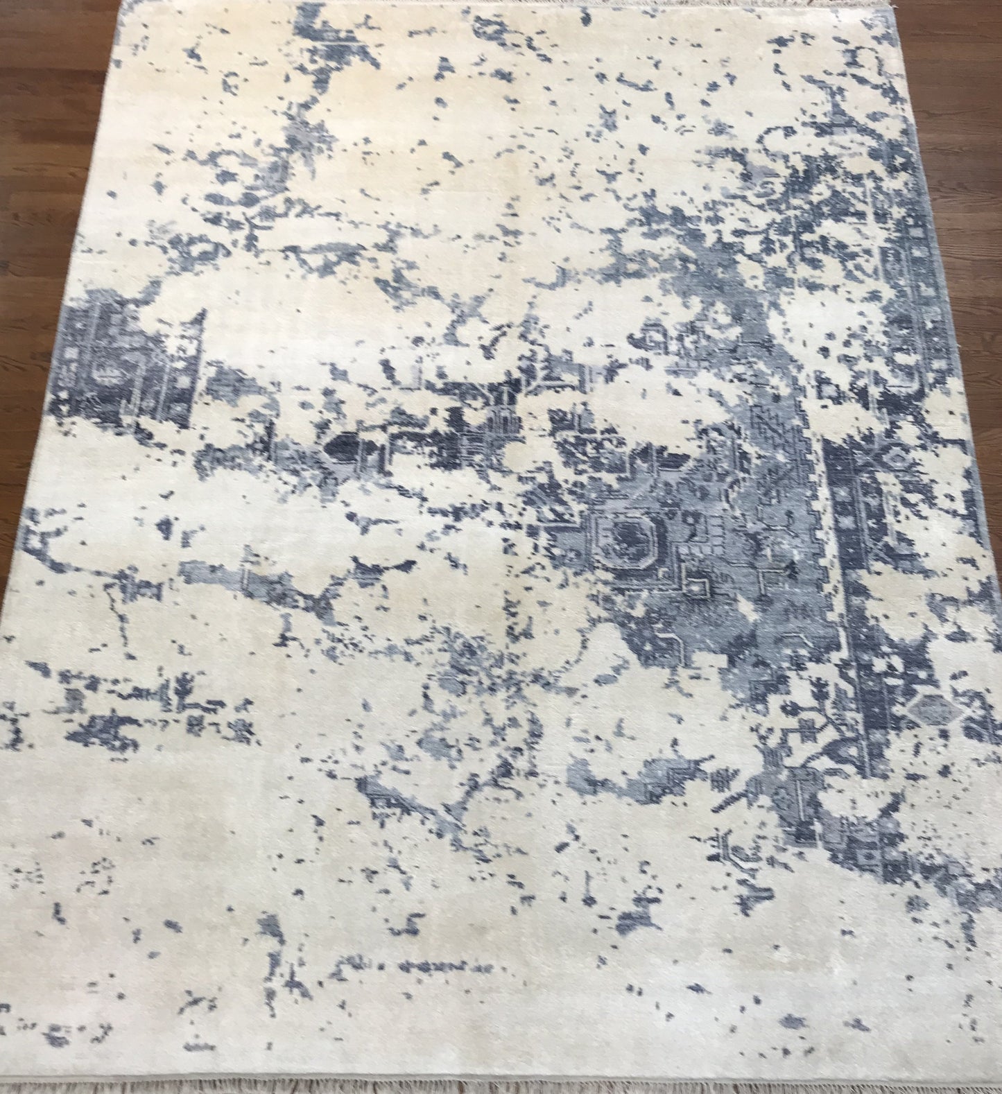 CONTEMPORARY INDIA #4849