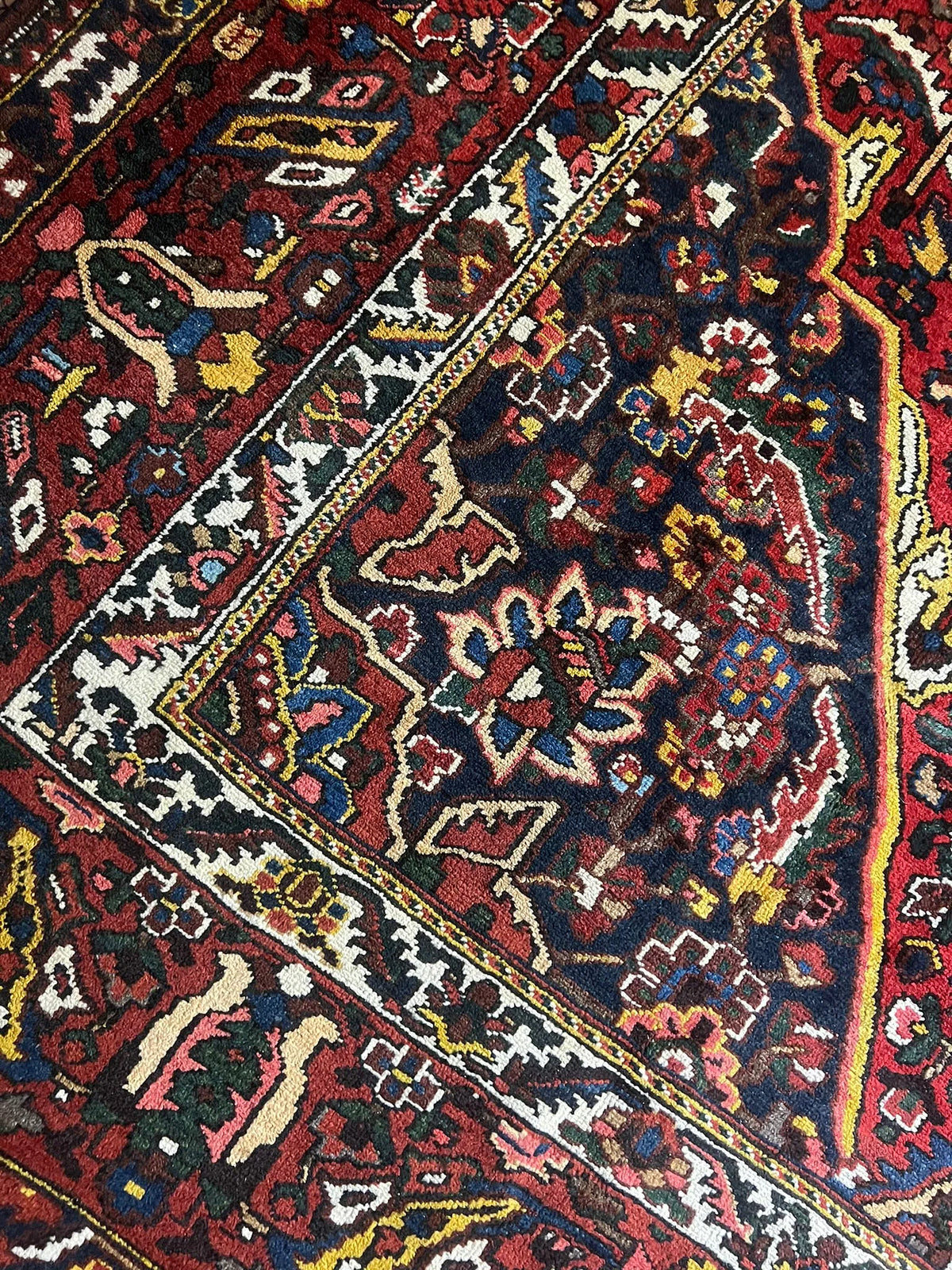 Backhtiari Rug # 5567