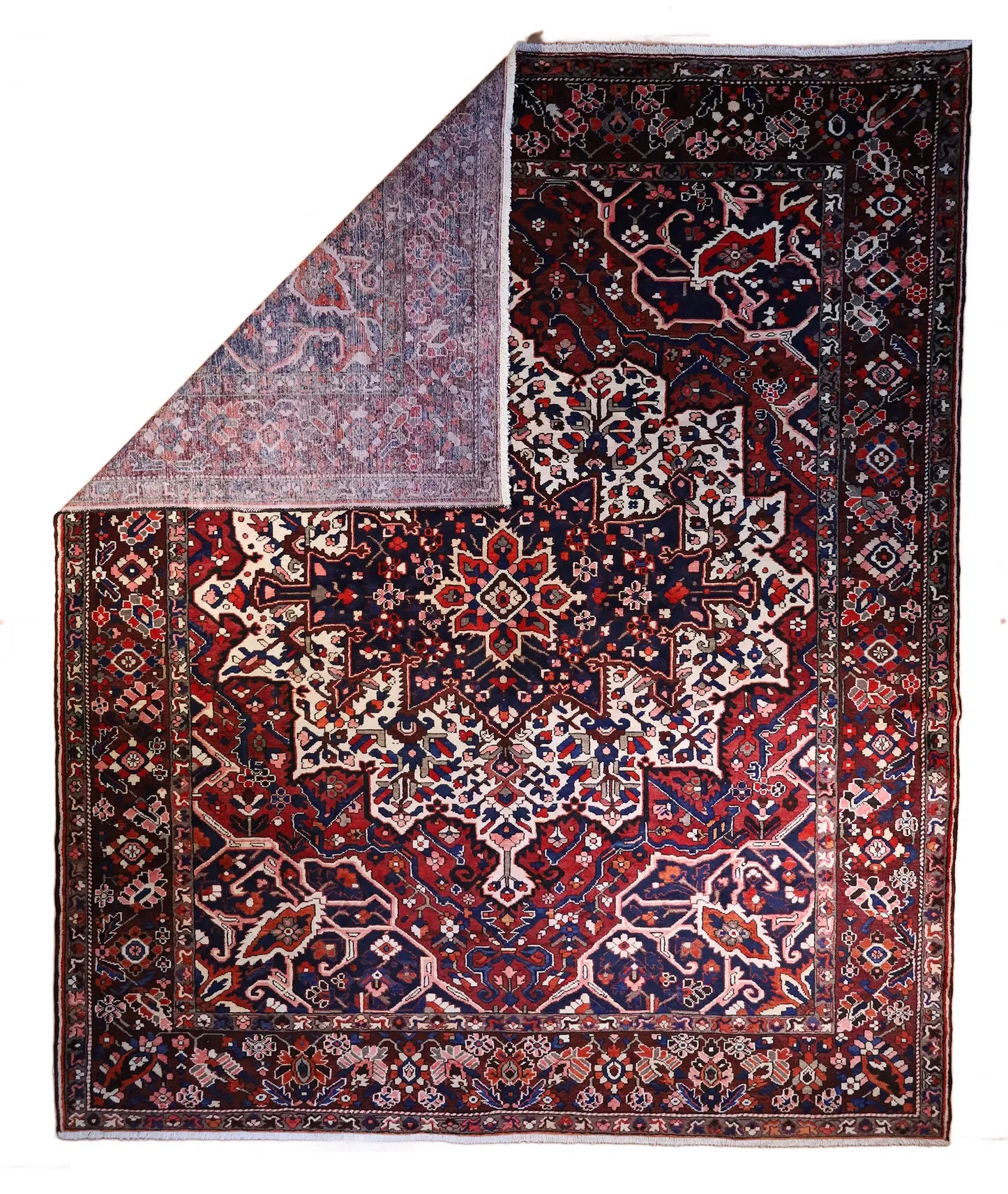 Backhtiari Rug # 5601