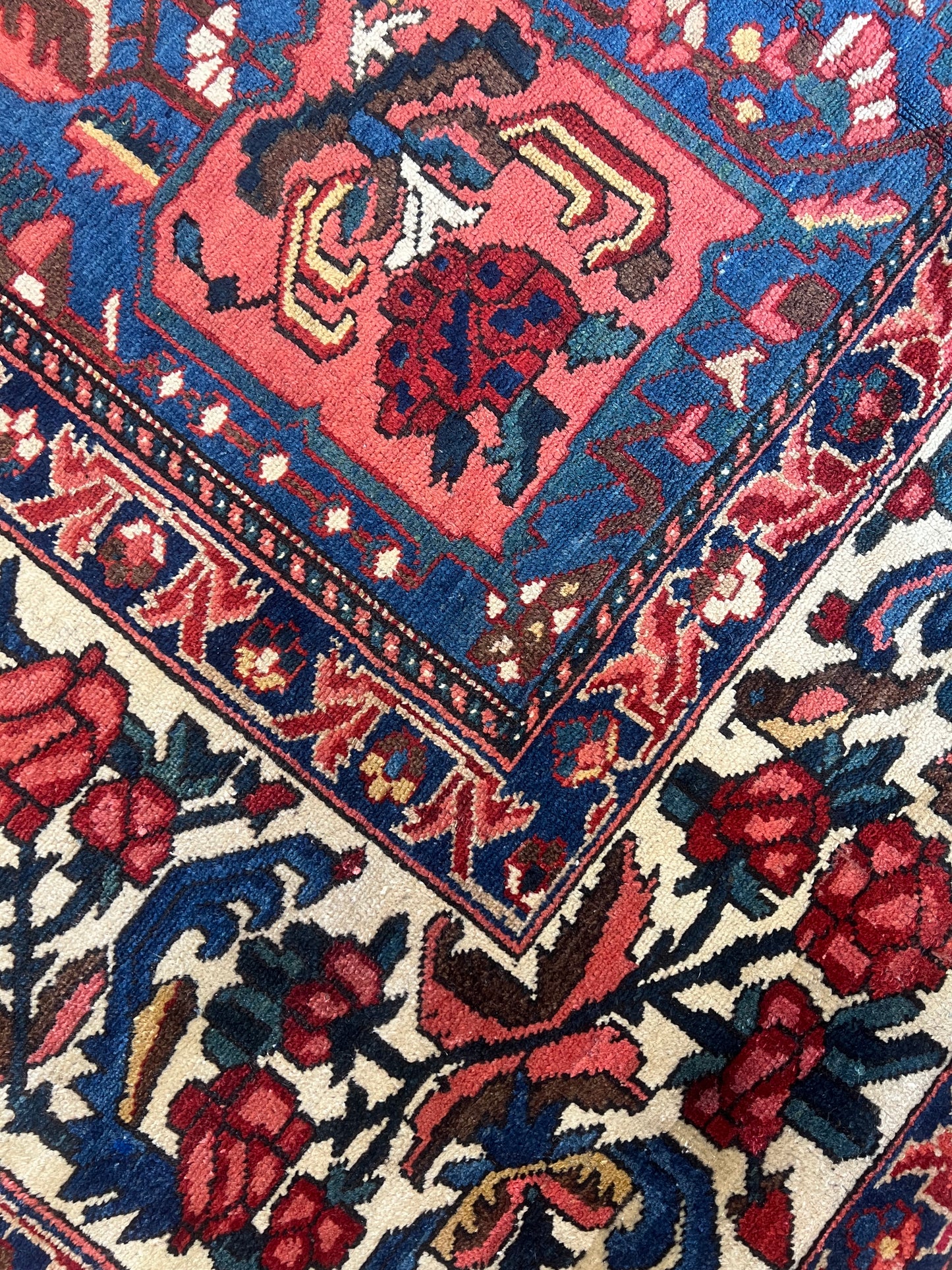PERSIAN BAKHTIARI #5593