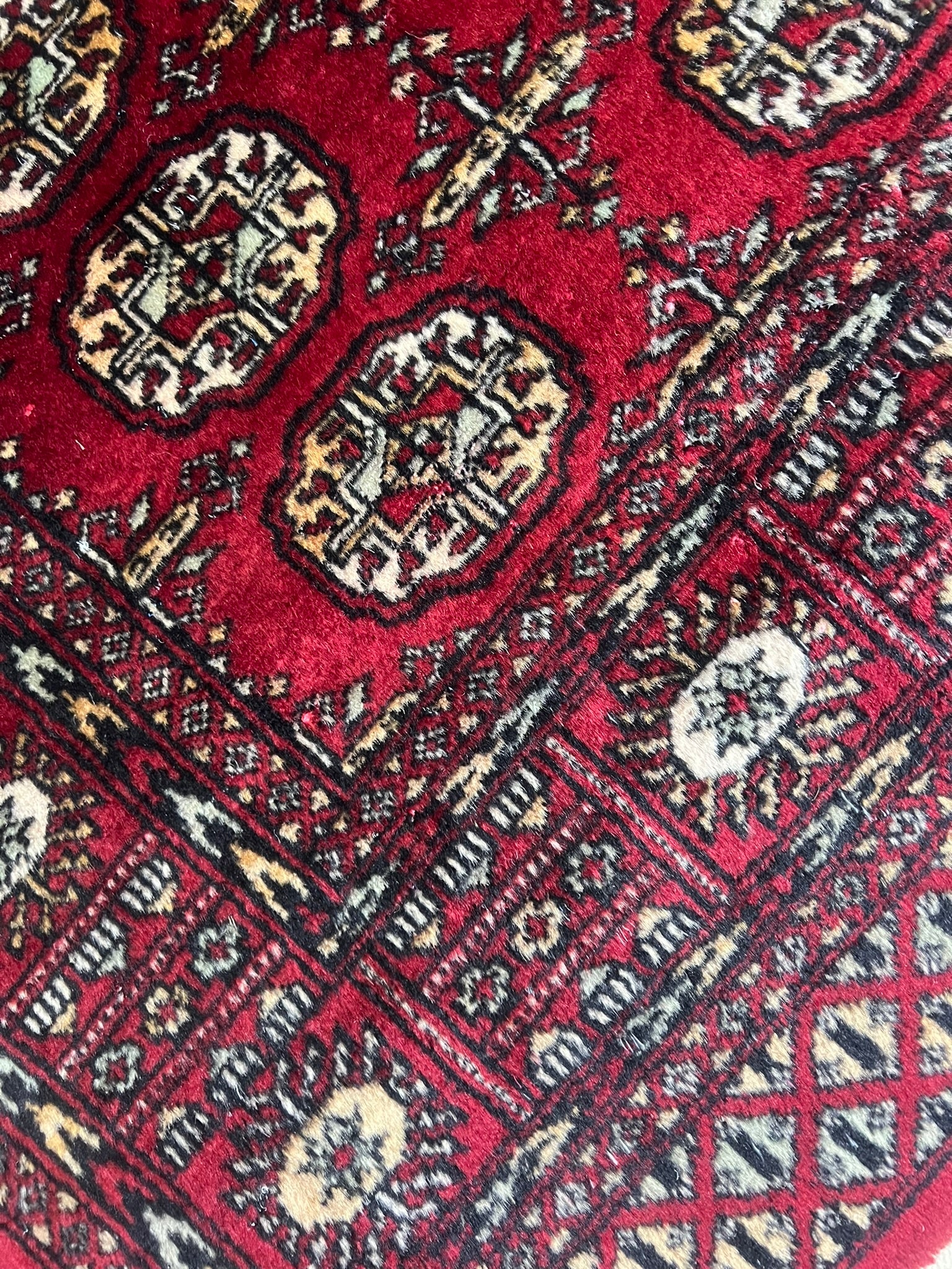 BOKHARA # 8554