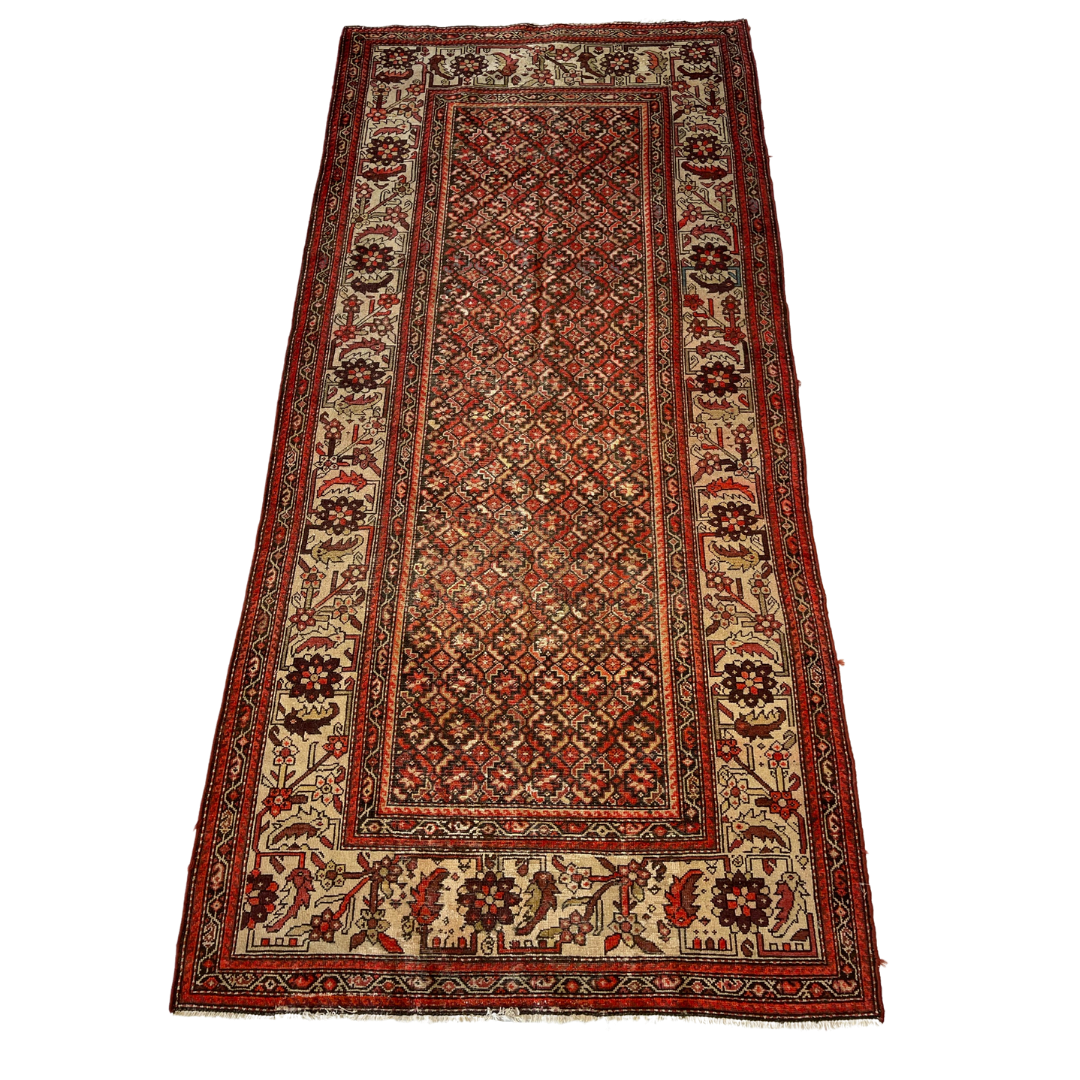 PERSIAN MALAYOR #439