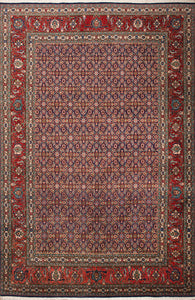 TABRIZ IRAN # 7266