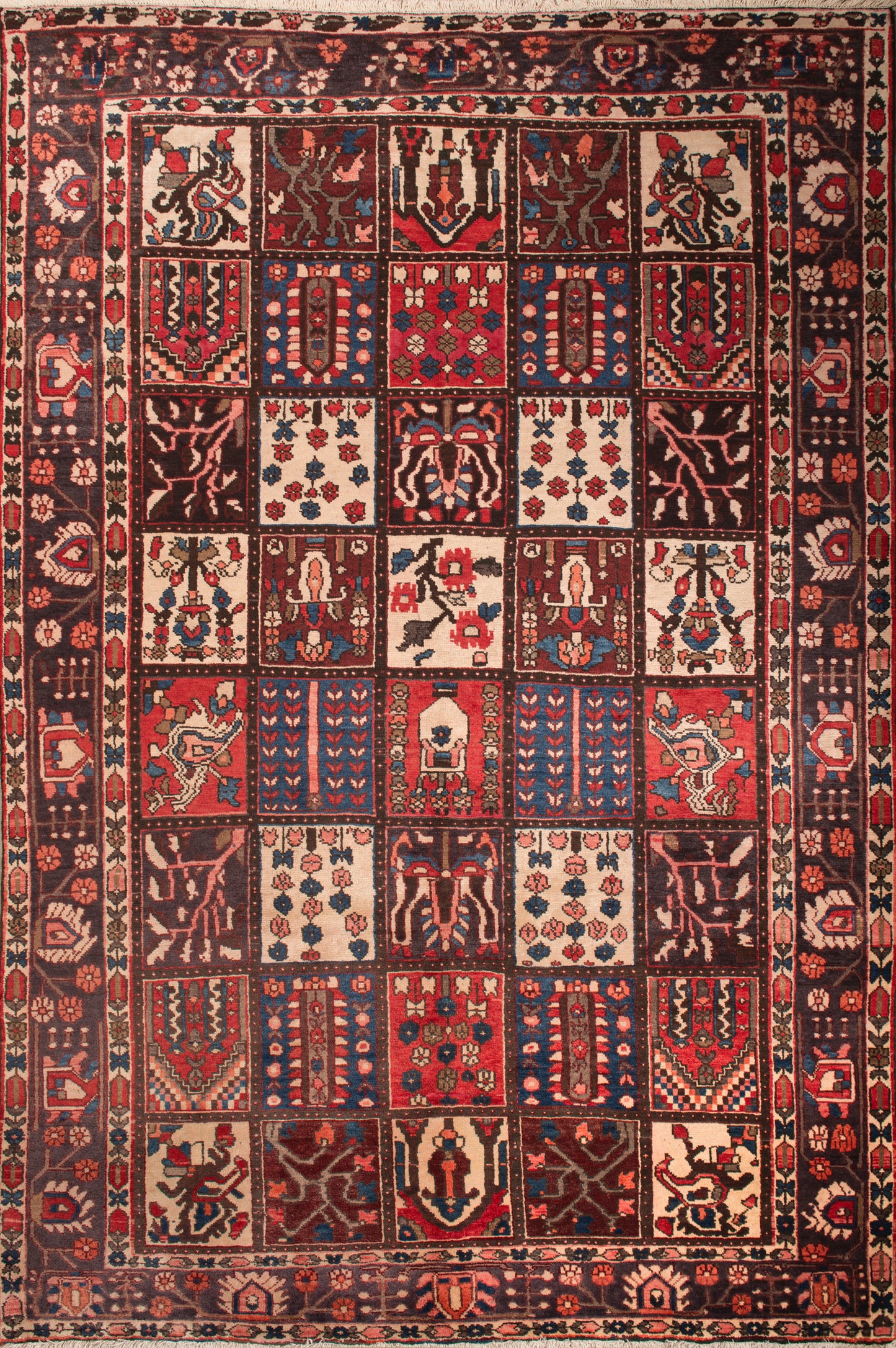 BACKTIARI IRAN # 5574