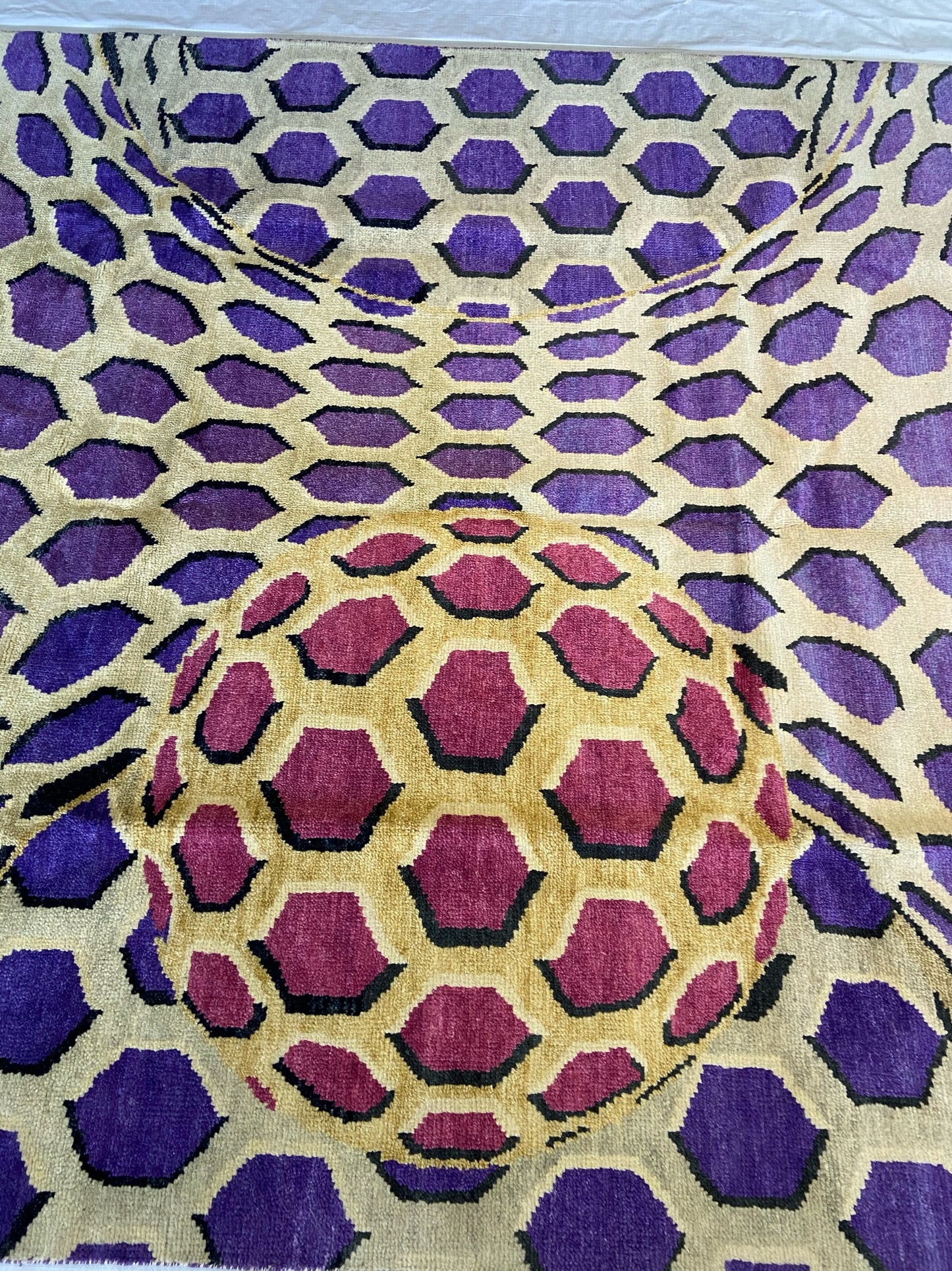 CONTEMPORARY INDIA # 7576