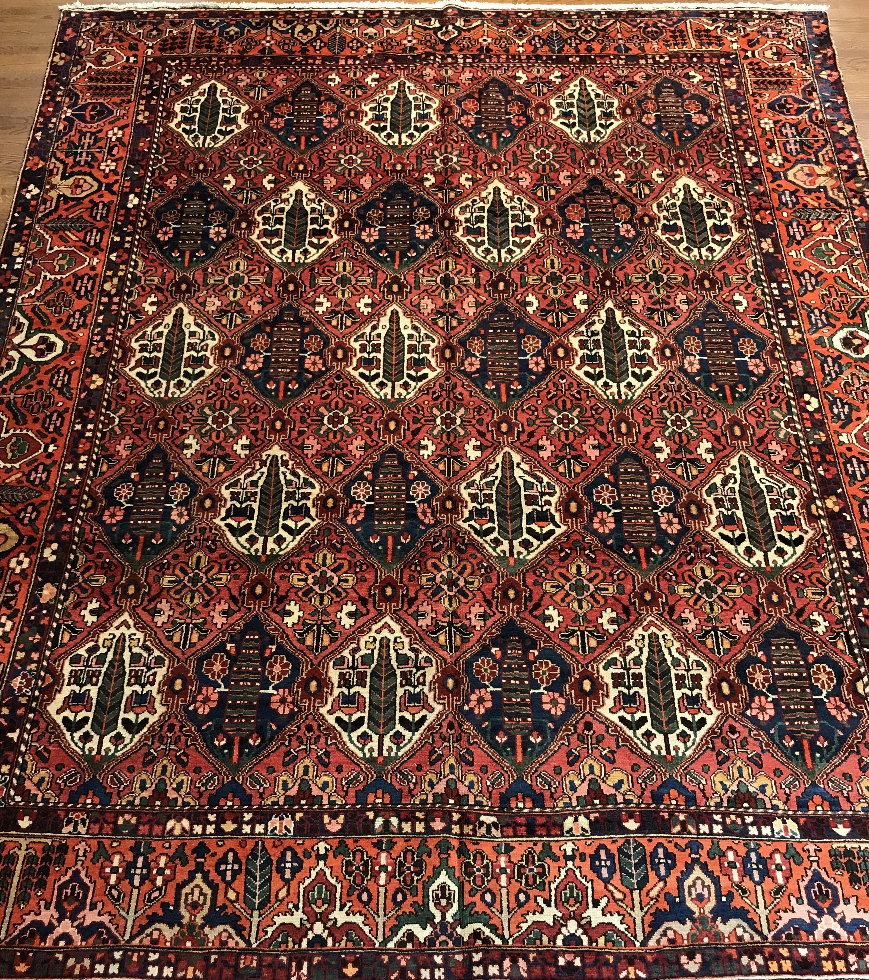 BAKHTIARI IRAN #5570