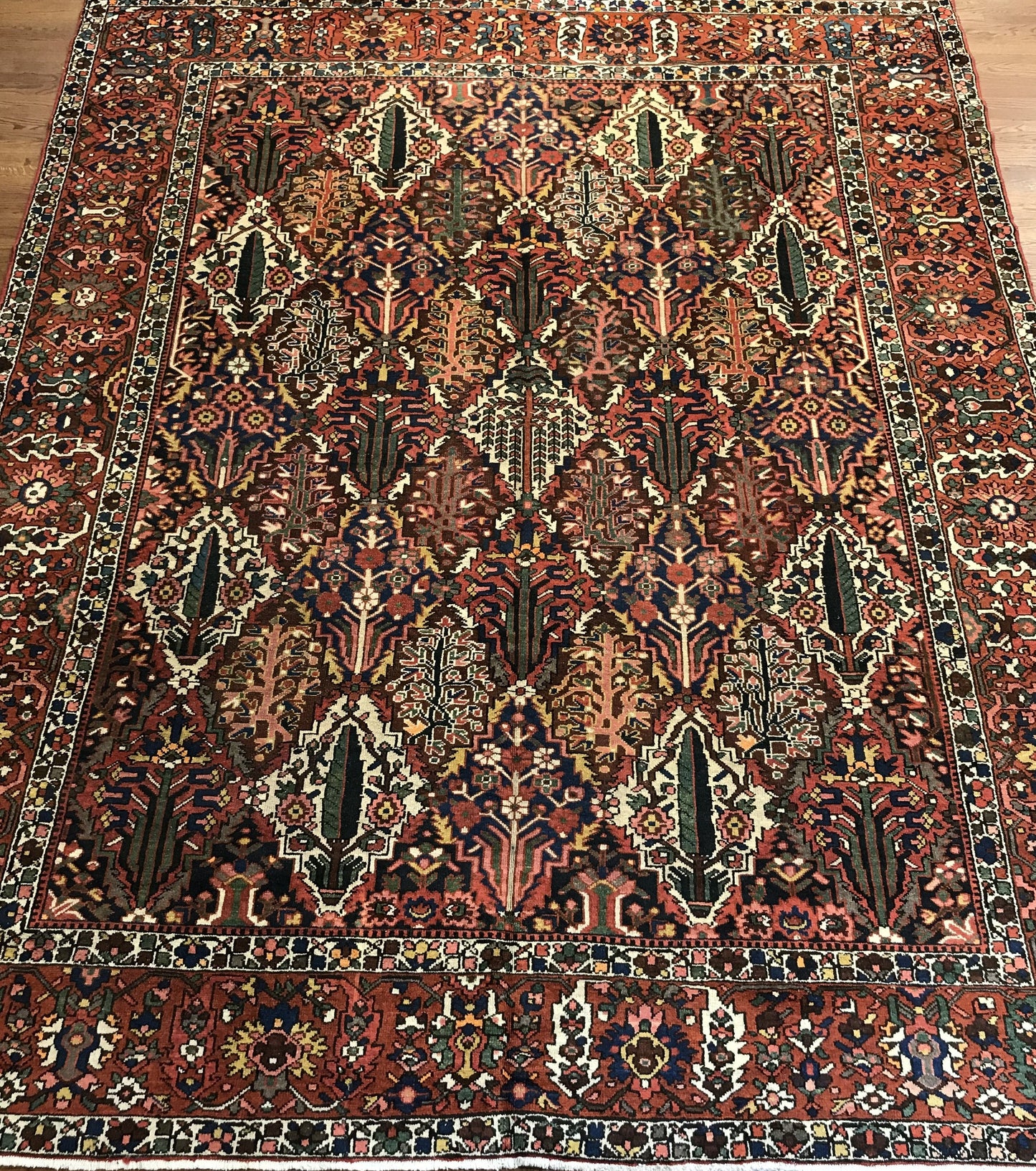 BAKHTIARI  IRAN #5592